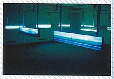 Damjan Švarc, Zvočni zid
