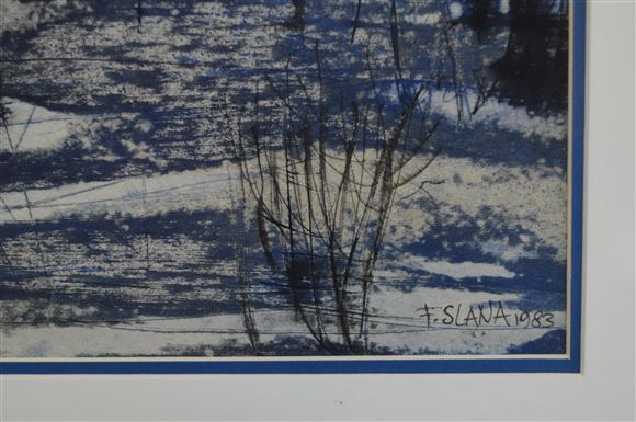 France Slana - Kopice