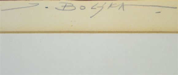 Janez Boljka - Bik