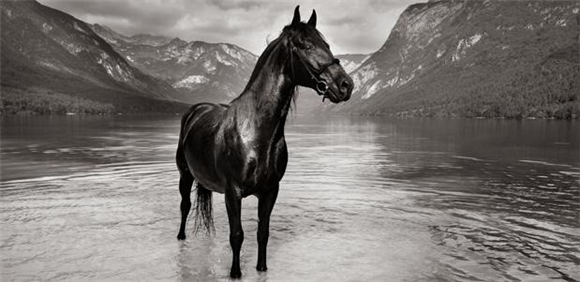 Jezero