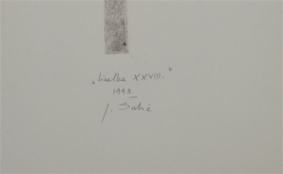 Jože Šubic - Lizalka XXVIII