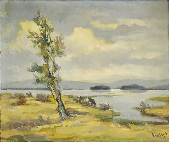 Lojze Perko - Cerkniško jezero