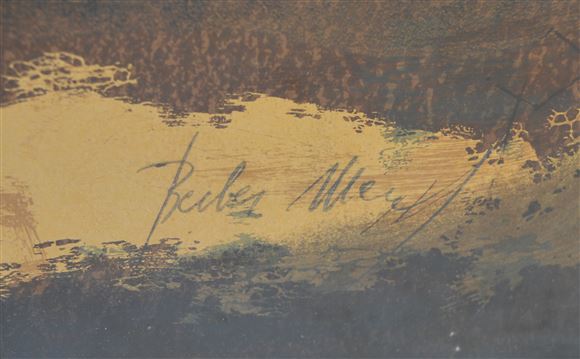 Mersad Berber - Flora