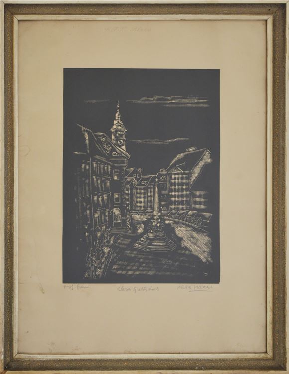 Miha Maleš - Stara Ljubljana