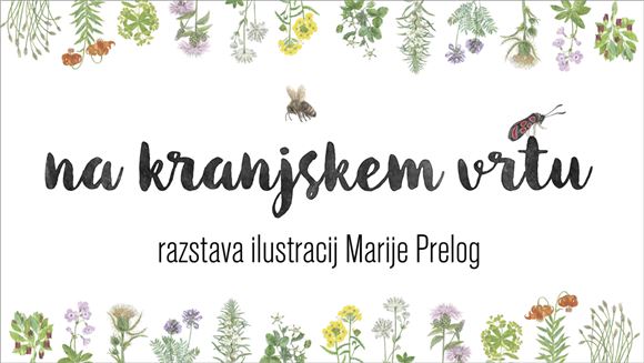 Na kranjskem vrtu