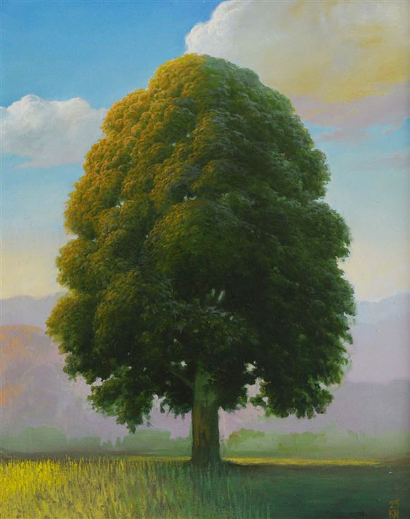 Narcis Kantardžić - Drevo