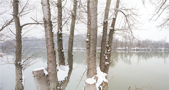 Primož Bizjak: Sava, Donava in Drina