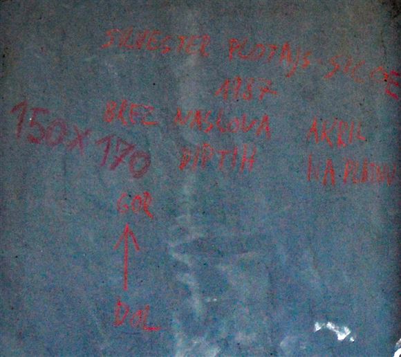 Silvester Plotajs Sicoe - Brez naslova, diptih