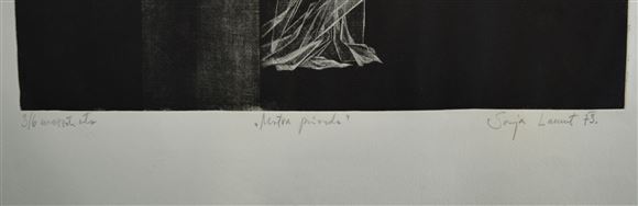 Sonja Lamut - Mrtva priroda