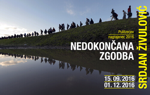 Srdjan Živulović: Nedokončana zgodba