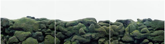 Tamas Dezsö / Hipoteza: vse je listje