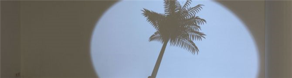 Utrujene palme