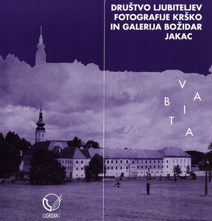 Več avtorjev - Kostanjevica v objektivu