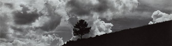 Zora Plešnar - retrospektiva