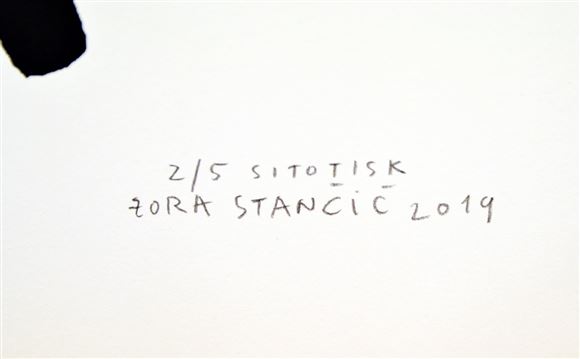Zora Stančič - Brez naslova