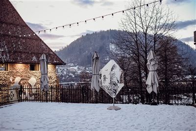 Andreja Eržen: Vetrnica in svetlobne slike