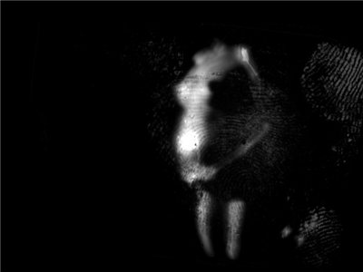 BODY. MADE IN ME