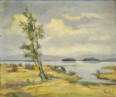 Lojze Perko - Cerkniško jezero