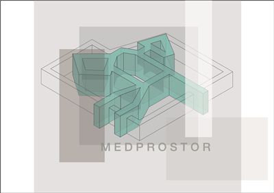 Medprostor