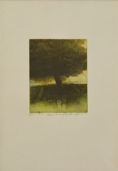 Safet Zec - Brez naslova