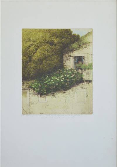 Safet Zec - Brez naslova