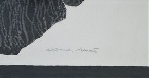 Adriana Maraž - Parcele