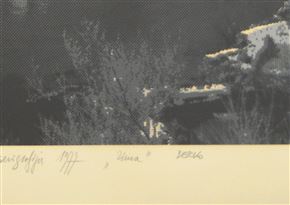 Berko - Zima