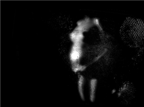 BODY. MADE IN ME