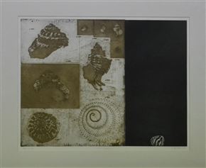 Bogdan Borčić - Mala školjka