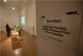 Boris Beja: I Beg Your Pardon, I Never Promised You A Rose Garden