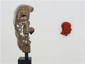 Cephalization | Oglavičenje
