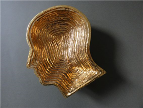 Cephalization | Oglavičenje