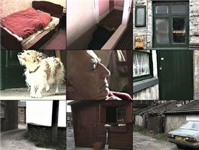 Chris Hales: EFECT / AFFECT
