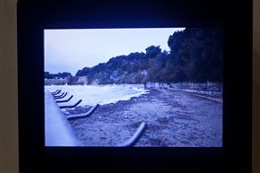 DAN OKI: Generatio Aequivoca