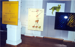 Eduardo Kac: Telepresence, Biotelematics, Transgenic Art