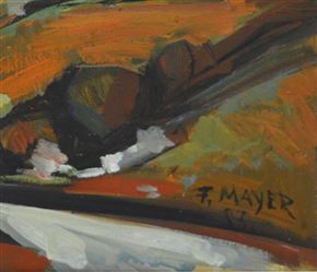 Ferdo Mayer - Krasina