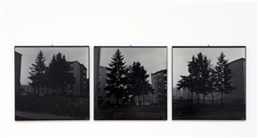 Fotograf in grafični oblikovalec