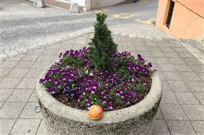 Fotosfera / Razglednice iz Slovenije