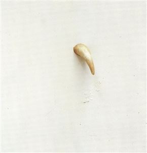 Franc Mesarič. Doma 1984-1994