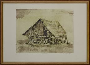 France Slana - Skedenj