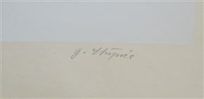 Gabrijel Stupica - Nevesta