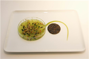 gRig: Open Sauces, Bruselj (Belgija)
