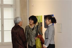 Huiqin Wang: Nadčasovni prenos, Umetniške interpretacije življenjske zgodbe Ferdinanda Avguština Hallerja von Hallersteina