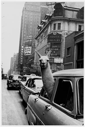 Inge Morath - retrospektiva