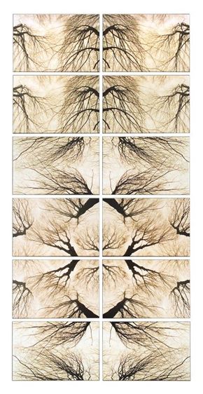 István Hagymás. Fotografije