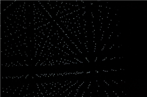 Ivana Franke: Latency (Atrio) – Latentnost (Atrij)