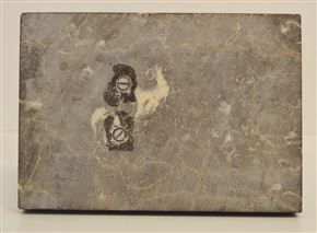 Janez Boljka - Robin Hood