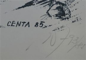 Jože Centa - Fužine
