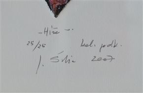 Jože Šubic - Hiše