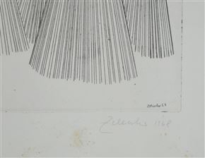 Karel Zelenko - Mrtev konj